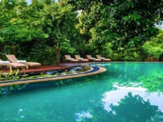 Jungle Beach Resort