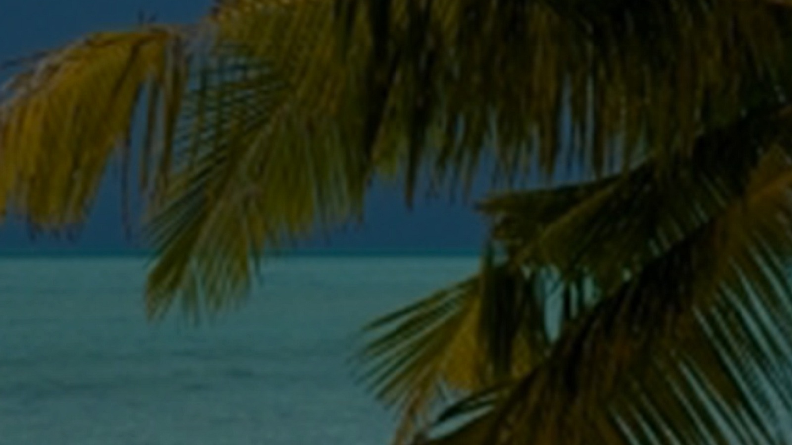 Special Tour in December, Maldives Angaga Island